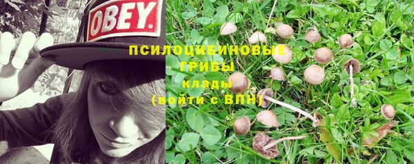 молекула духа Балахна