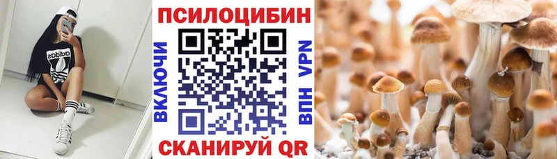 hydra зеркало  Конаково  Галлюциногенные грибы Cubensis 